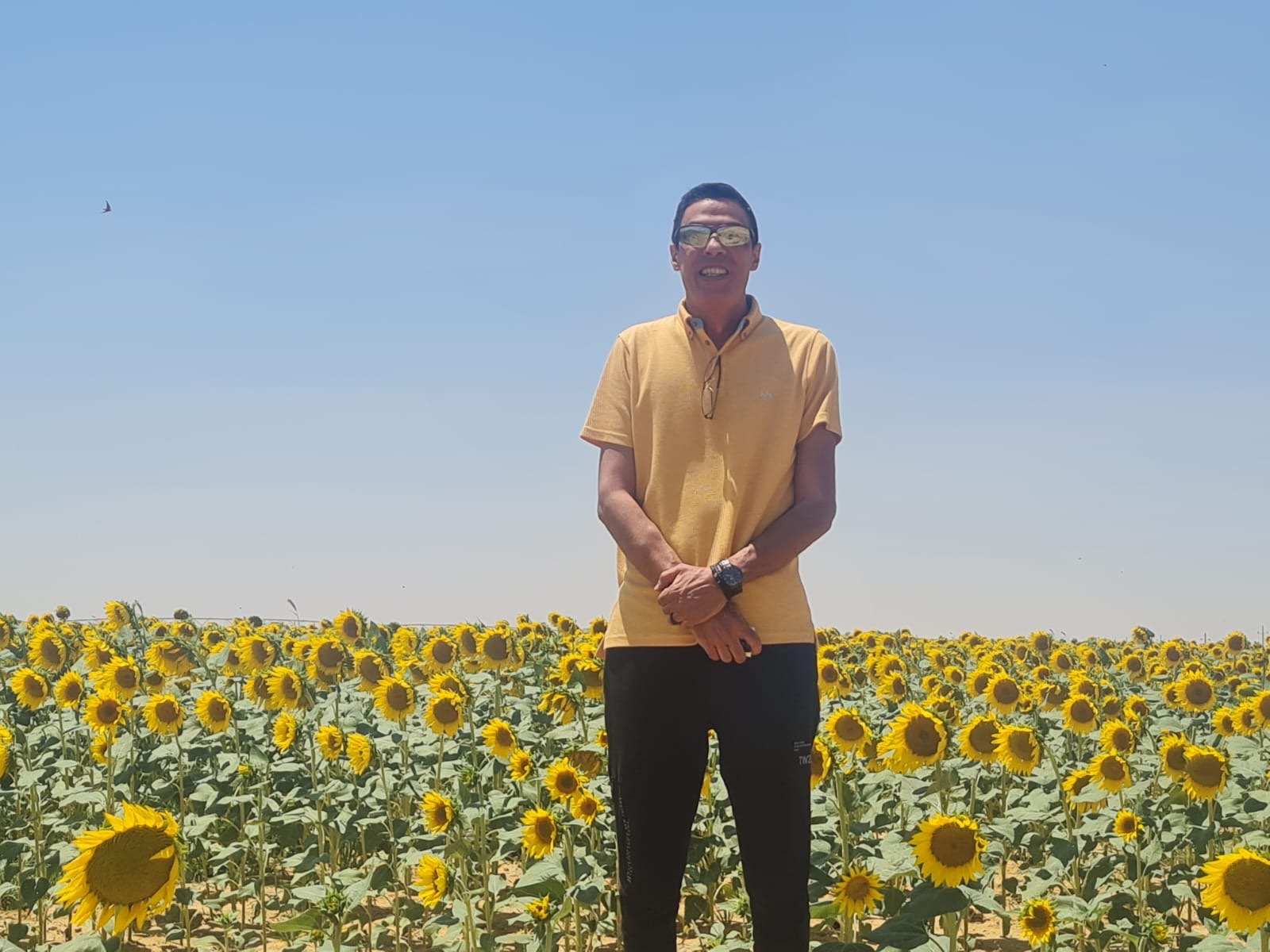 Cairo Fields founder in a field across Egypt's growing regions.