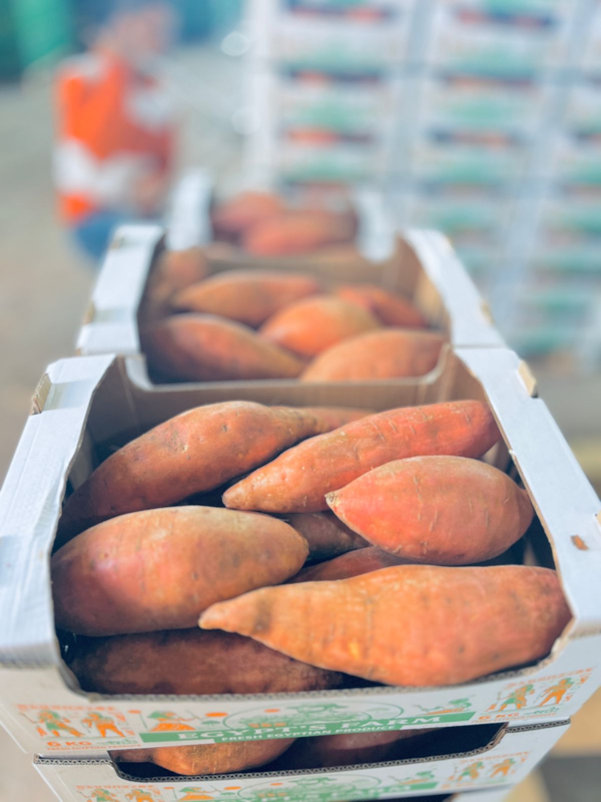 Fresh produce crates prepared for packing.